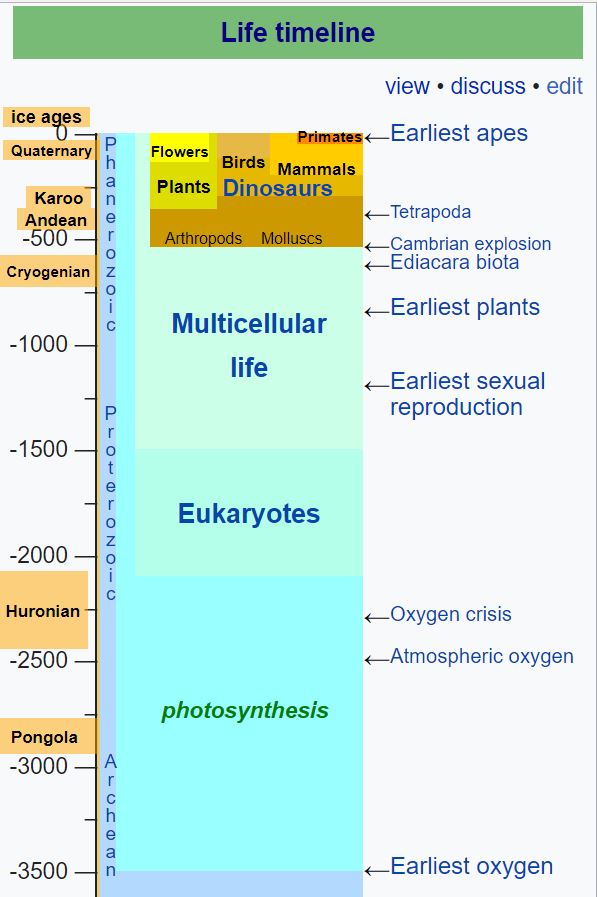 Timeline of the Earth