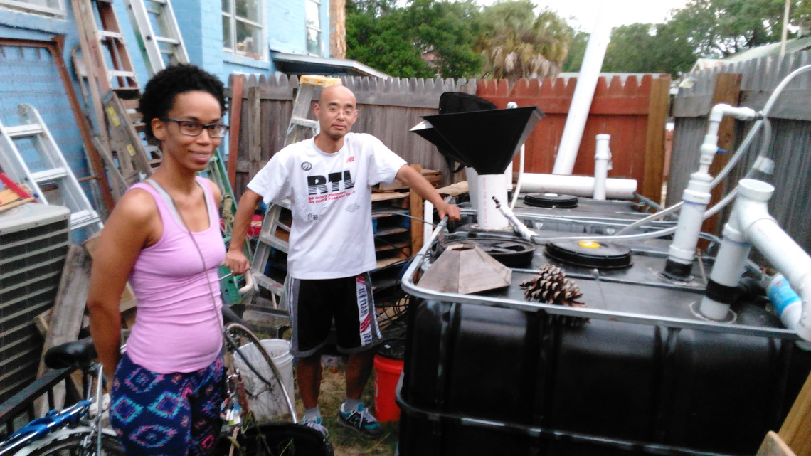 The Solar CITIES Twin Dragon at St. Petersburg Ecovillage