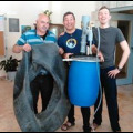 This is a picture of the completed pickle barrel digester with the inner tube brought by the very kind  Palestinian garage mechanic, Khalil, who we bought it from.